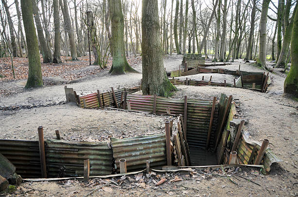 Reconstructed WWI trenches in forest stock photo