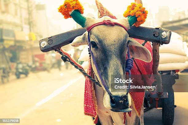 Cow Nueva Delhi India En Frente De Patín Foto de stock y más banco de imágenes de Nueva Delhi - Nueva Delhi, Concept Does Not Exist, India