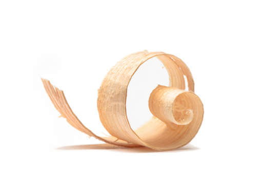 This image is a cedar shaving from a wood plane on a 255 white background with soft overhead studio lighting.
