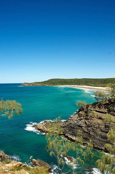 istock Alexandria Bay - Noosa Heads 155279295