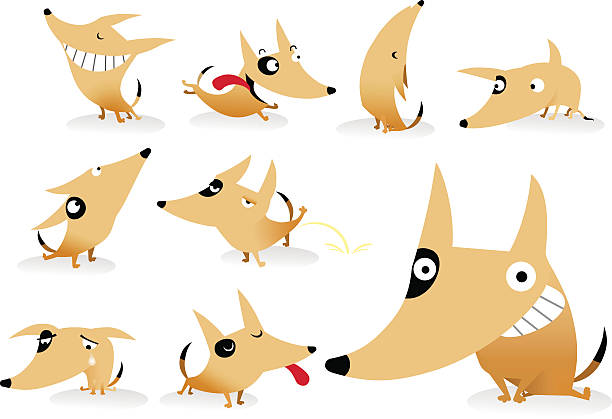 Chien - Illustration vectorielle