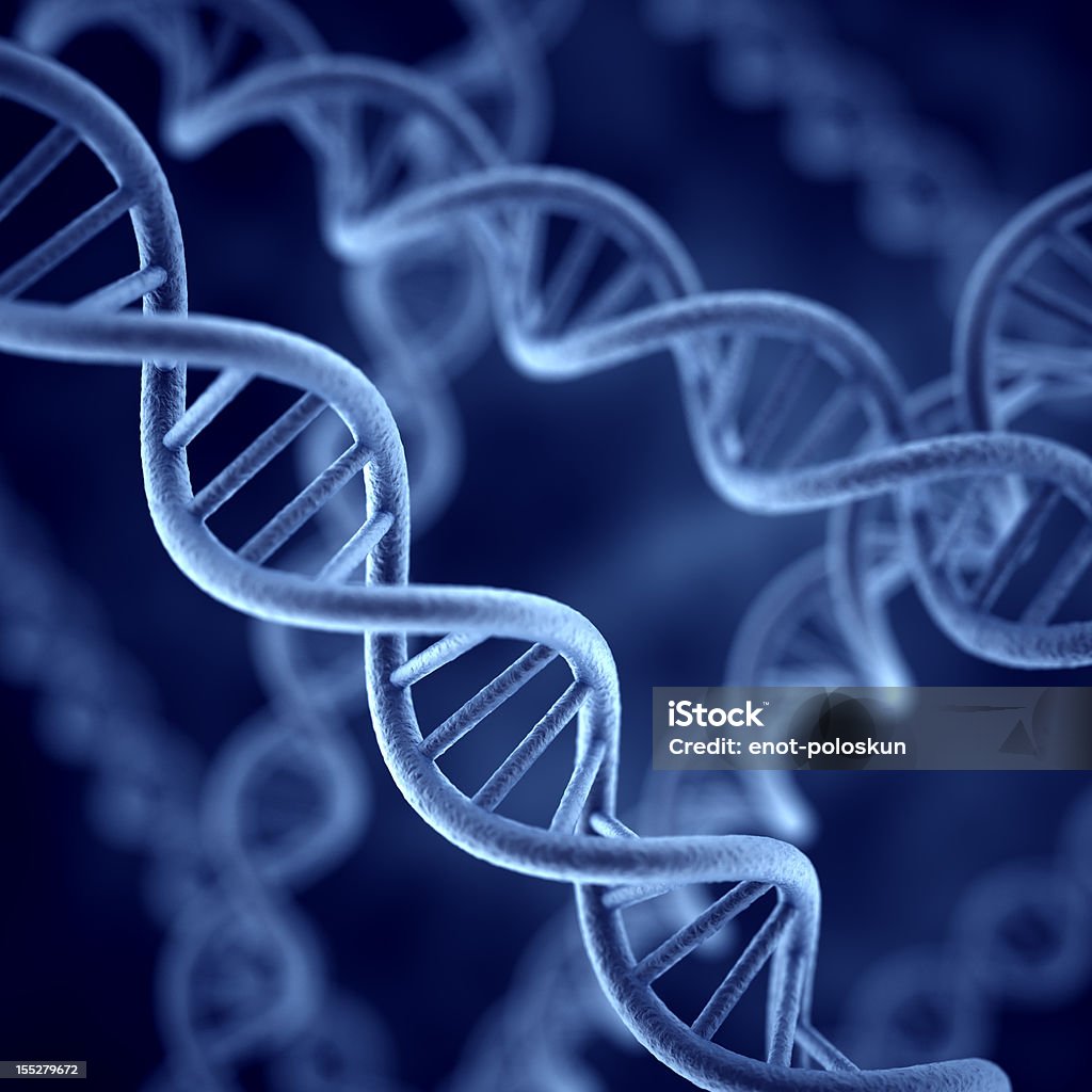 ДНК - Стоковые фото Дезоксирибонуклеиновая кислота роялти-фри