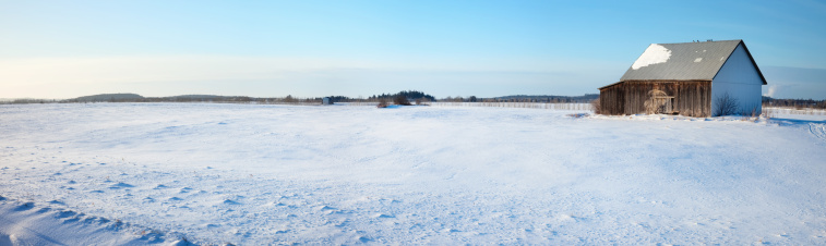 Field of Snow panorama featuring a barn and a clear blue sky.