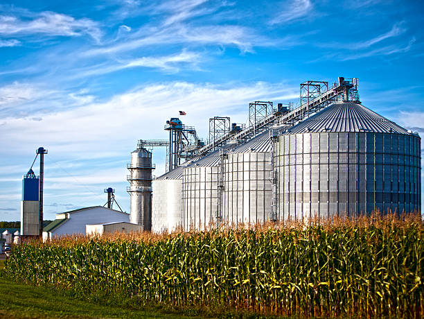 Countryside landscape of metal silos behind a corn field Corn dryer silos standing in a field of corn silo photos stock pictures, royalty-free photos & images