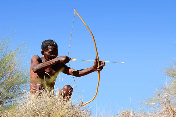 Kalahari bushman hunting A Kalahari bushman of the !Khomani tribe aims his bow and arrow. My San people collection is a pet project close to my heart. I'd be most grateful if you could sitemail me to let me know where you use these images.  bushmen stock pictures, royalty-free photos & images