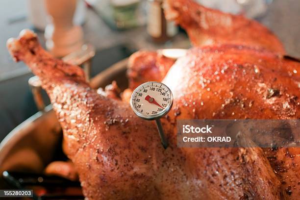 焼きトルコ温度計のディテール - 温度計のストックフォトや画像を多数ご用意 - 温度計, 七面鳥, 肉