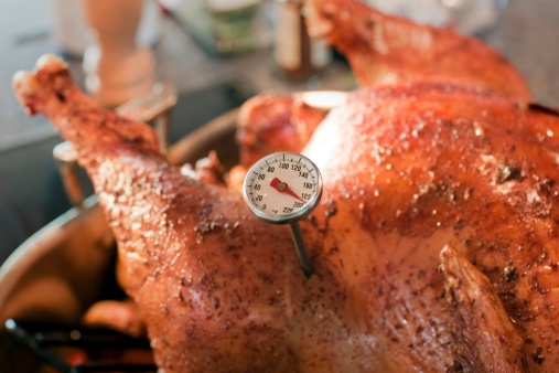 Roasted Turnkey fresh out of the oven. There is a little meat thermometer in the bird that reads 180º. The Fowl is Ready! This shot has a pretty narrow depth of field, focussing on the temperature gauge. The texture of the skin is fantastic and indicative of a perfectly cooked Thanksgiving turkey. The background has blurry kitchen elements in it.  - A great shot for preparation cookbooks, ingredient, catalogs, chef, diet and cooking websites or magazines.  The bird is in a roasting Pan. 