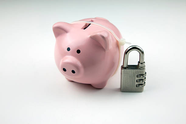 istock Piggy Bank and Lock 155280744