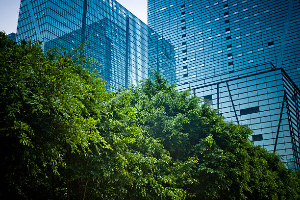 modern office building with green plant