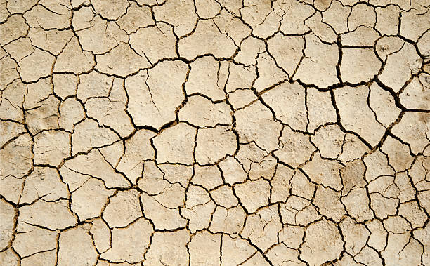 Aridity Dry Soil detail.  dry stock pictures, royalty-free photos & images