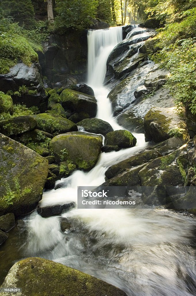 Triberg Водопад в черный лес, Германия - Стоковые фото Триберг Шварцвальд роялти-фри
