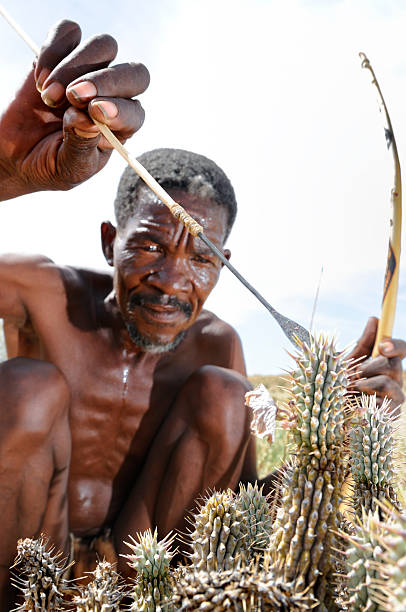 kalahari bushman hoodia ritratto di taglio centrale - kalahari gemsbok national park foto e immagini stock