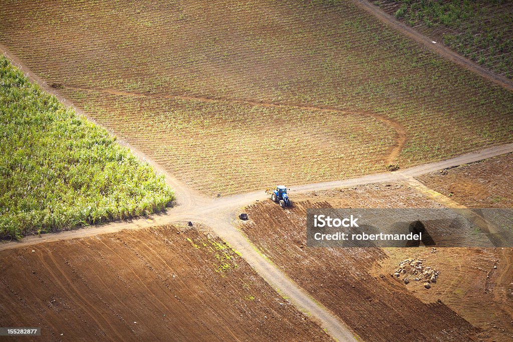 Landwirtschaftliche - Lizenzfrei Insel Mauritius Stock-Foto