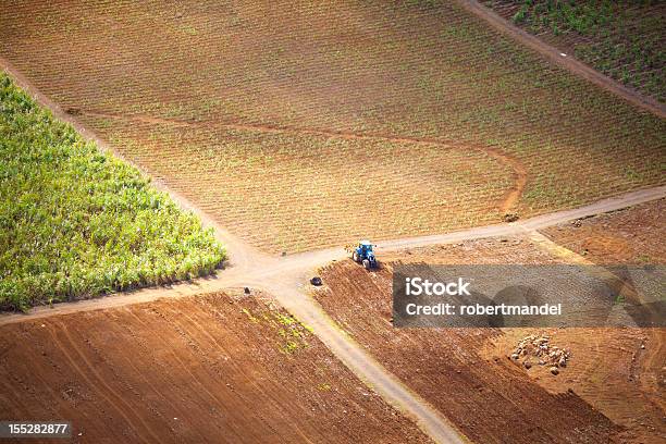 Landwirtschaftliche Stockfoto und mehr Bilder von Insel Mauritius - Insel Mauritius, Luftaufnahme, Zuckerrohrplantage