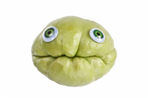 Humorous close-up of chayote squash with fake human eyes. Looks like an old, wrinkled disgruntled face.
