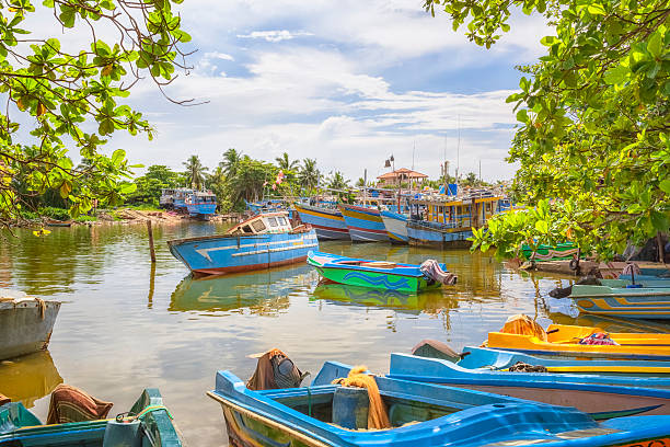 istock Old Port of Negombo / Sri Lanka 155283084
