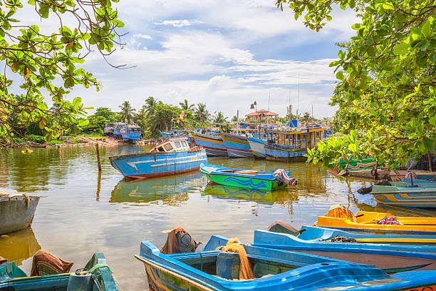 Old Port of Negombo / Sri Lanka traditionally painted fishing boats in the old port of Negombo / Sri Lanka sound port stock pictures, royalty-free photos & images