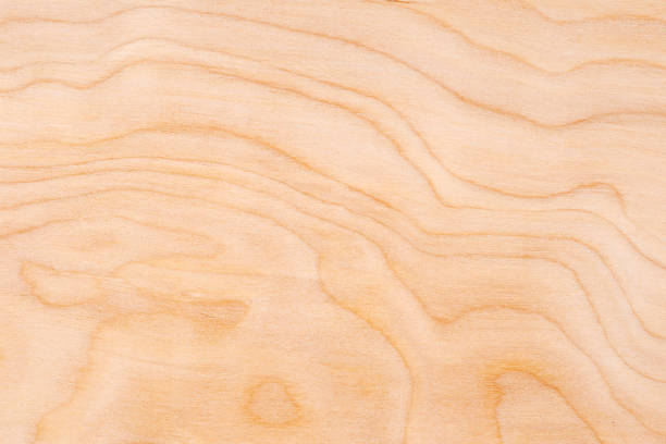 holz textur hintergrund: birch ply - wood birch wood grain textured stock-fotos und bilder