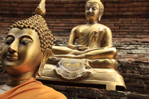 image of buddha mask white background