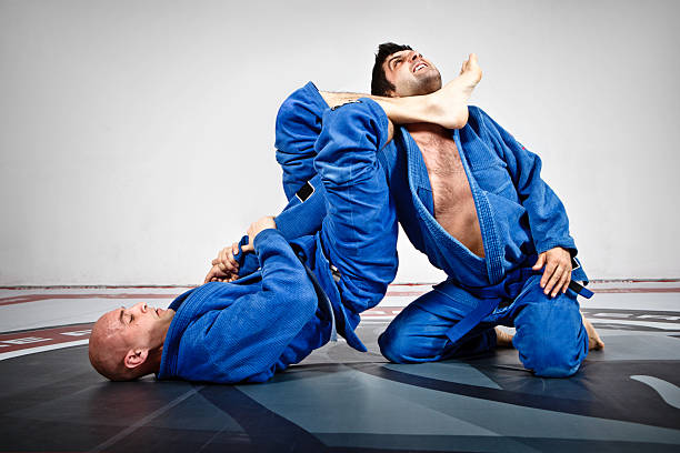 jiu-jitsu 교육 - mixed martial arts combative sport jiu jitsu wrestling 뉴스 사진 이미지