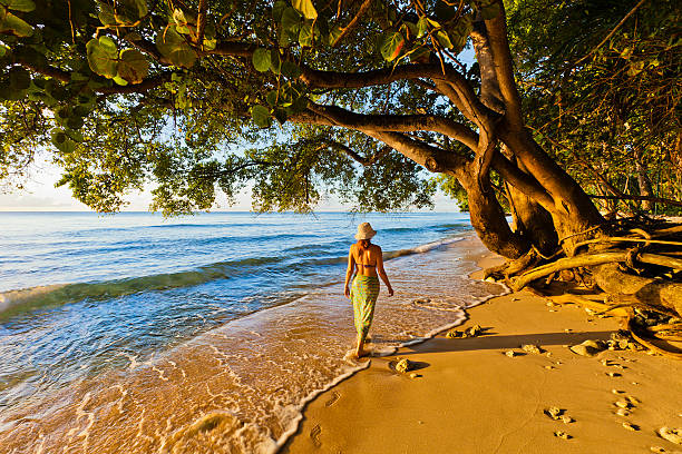 el parque estatal paynes bay, barbados - barbados fotografías e imágenes de stock