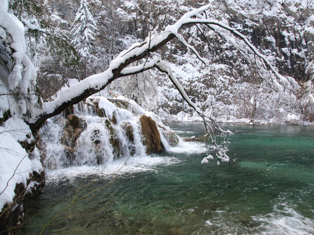 고산대 레이브 겨울 시간 - plitvice lakes national park croatia winter sparse 뉴스 사진 이미지