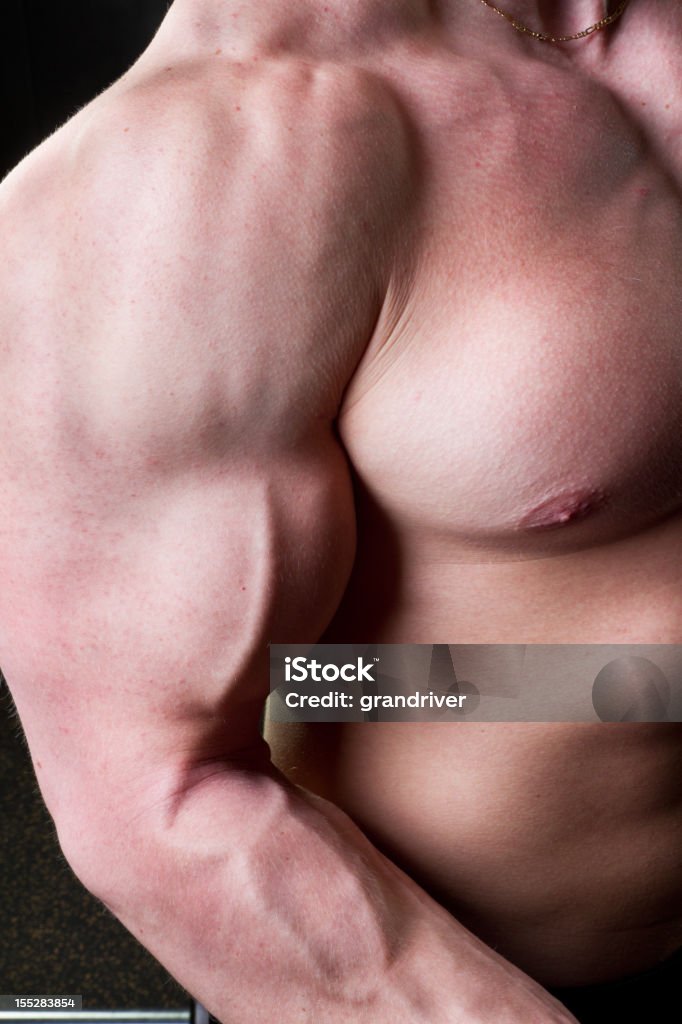 Torso Muscular - Foto de stock de Academia de ginástica royalty-free