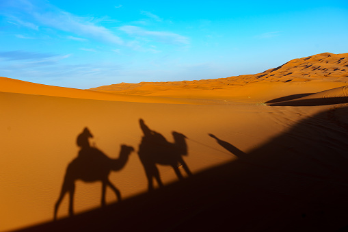North Africa. Morocco. Merzouga. Tourists take a camel ride in the dunes of Merzouga