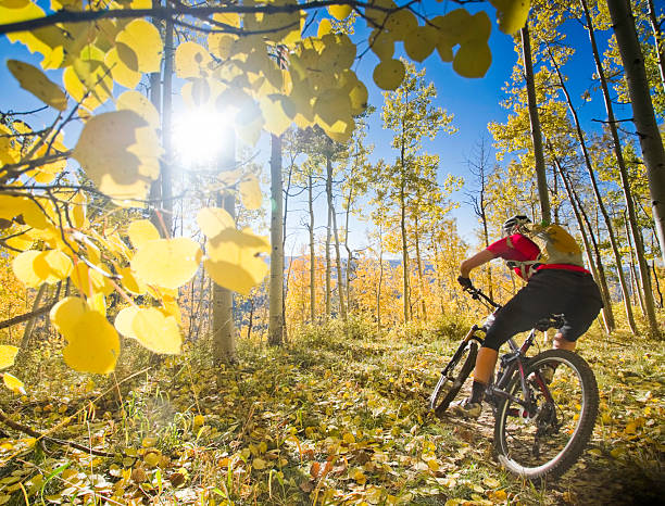 andar de bicicleta de montanha - mountain biking colorado action cycling imagens e fotografias de stock