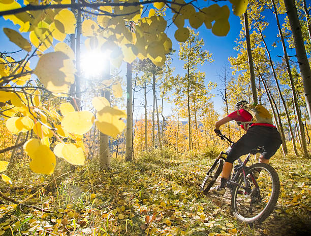 горный велоспорт - mountain biking colorado action cycling стоковые фото и изображения