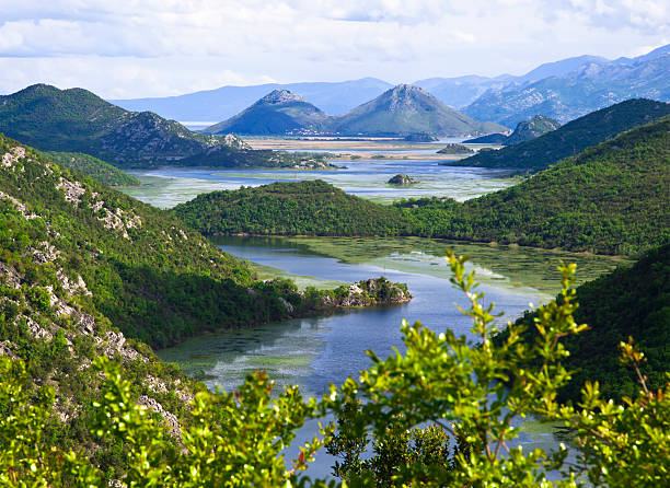 Skadar Lake  albania stock pictures, royalty-free photos & images