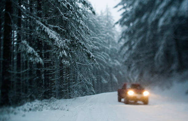 veicolo su strada innevata alla foresta - mt hood national park foto e immagini stock