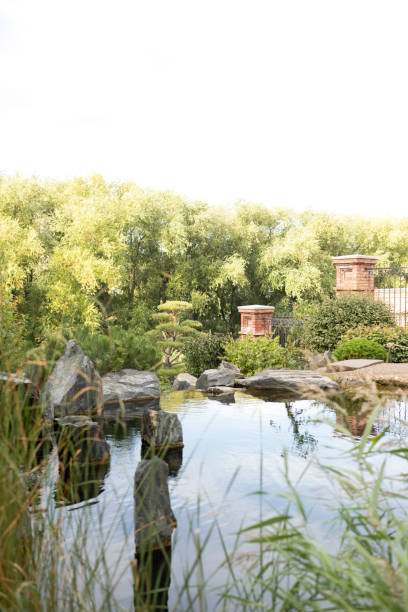 istock Garden with pond and trees in summer 1552842969