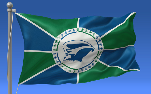 Martinique flag waving on the flagpole on a sky background