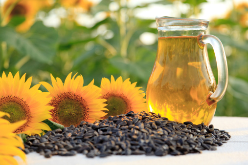 Sunflower oil with sunflowers and sunflower seeds in sunflower field. Shallow DOF.