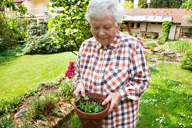 istock senior woman gardening 155284392