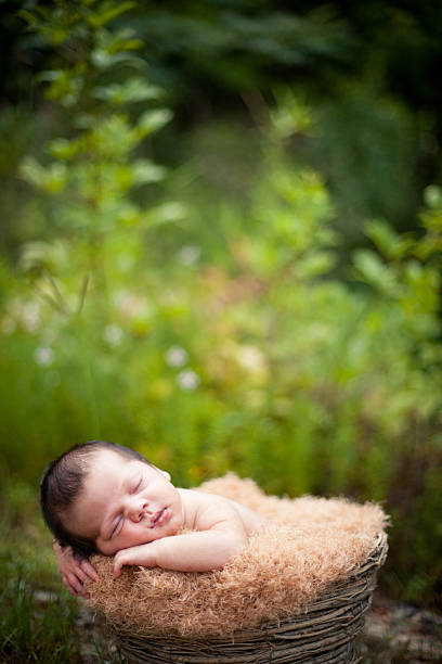 istock Newborn Baby Sleeping Peacefully Outdoors, in Basket, With Copy Space 155284464