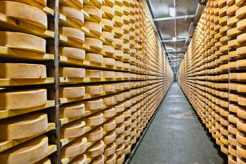 Wood shelving with thousands of forms of Fontina during the aging process. The Fontina is a cow's milk cheese originally from the mountainous Valle d'Aosta, the smallest and least populous region of Italy. Although the version from Aosta is the original and the most famous, the production occurs in other parts of Italy, as well as Denmark, Sweden, Quebec and France. Saint-Christophe, Valle d'Aosta, Italy. Canon EOS 5D Mark II