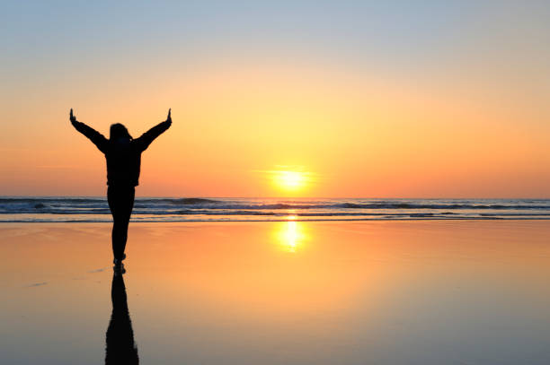 istock Silhouette of a Young Girl at the Beach 155284875