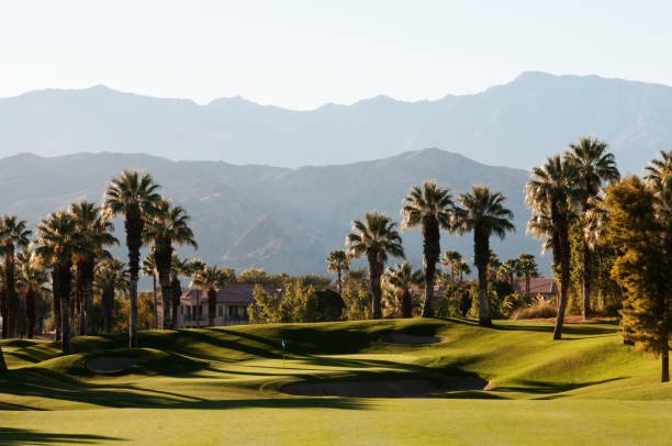 istock Lush green golf course in the Palm Springs desert 155285199