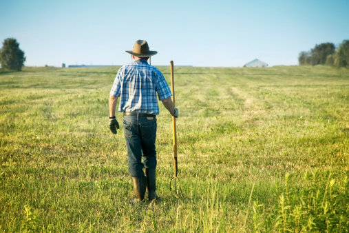 Rear View of a Senior Farmer Walking in his field with a pitch fork on a late Spring evening.