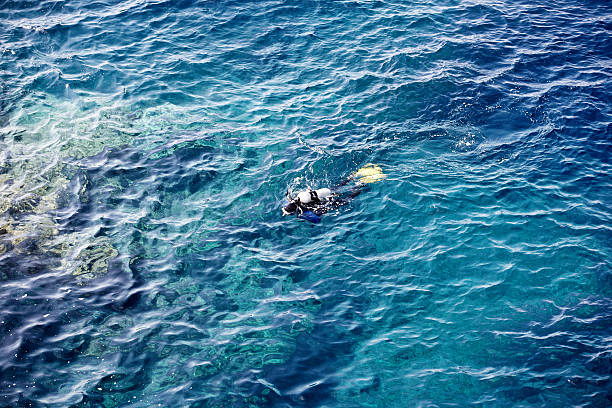 istock Scuba diver off Malta coastline 155285931