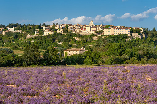Sault village, health resort in Vaucluse departement, Provence in France. Summer landscape with lavender field..