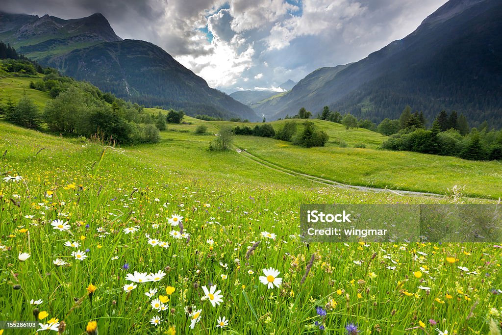 spring Wiese mit Dramatischer Himmel nahe steeg- tirol, Österreich - Lizenzfrei Wiese Stock-Foto