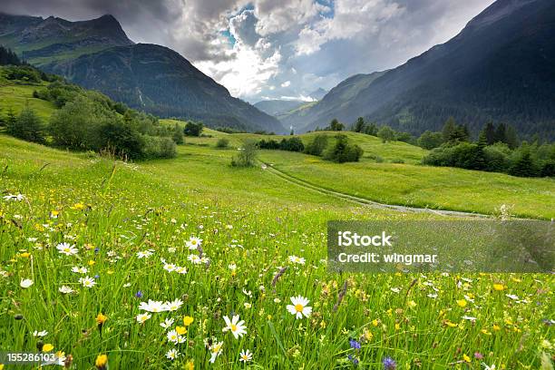 Spring Wiese Mit Dramatischer Himmel Nahe Steeg Tirol Österreich Stockfoto und mehr Bilder von Wiese