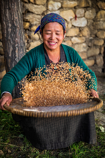 Tibetan woman separates grain from husks, small village in Upper Mustang. Mustang region is the former Kingdom of Lo and now part of Nepal,  in the north-central part of that country, bordering the People's Republic of China on the Tibetan plateau between the Nepalese provinces of Dolpo and Manang.