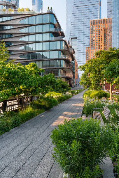 夏のハイラインパーク遊歩道。マンハッタンのチェルシーにある高架緑道。ニューヨーク市 - nyc greenway ストックフォトと画像