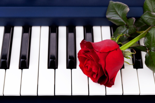 Piano Key and red rose