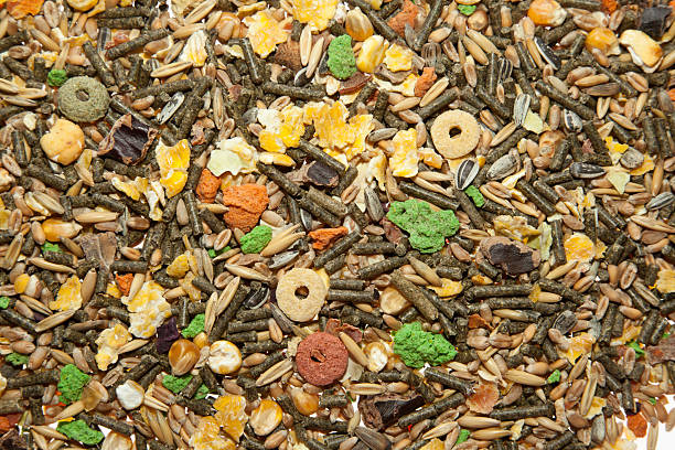 istock Rabbit and Rodent Food 155287078