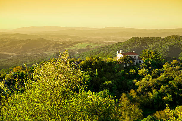 Finca in Typical Mediterranean architecture style and terraces built from nature stone with orchard of olive trees 